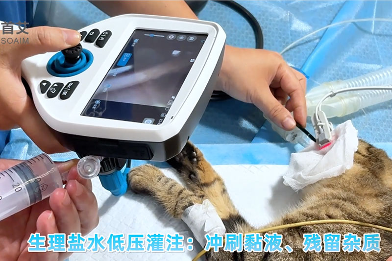 首艾内窥镜应用案例