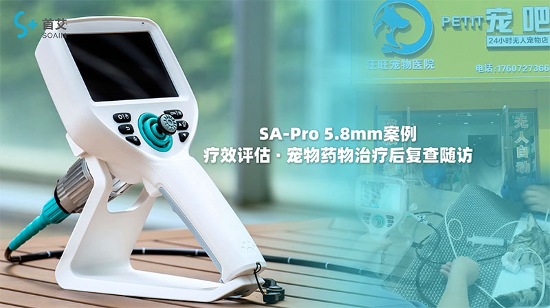 宠物内窥镜展示